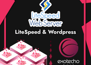Why LiteSpeed is a must-have for every WordPress website?